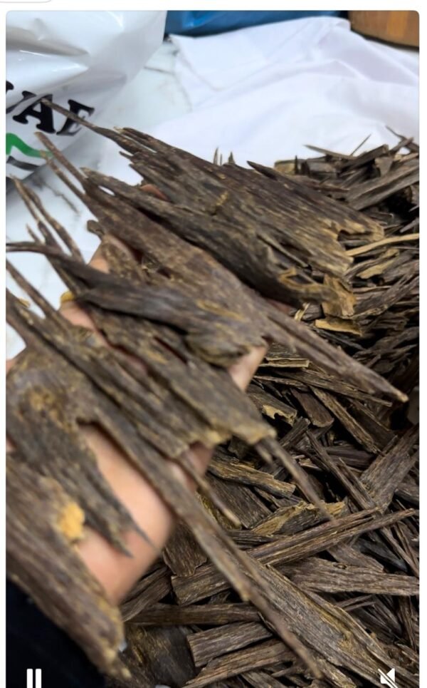 Assam Agarwood jura